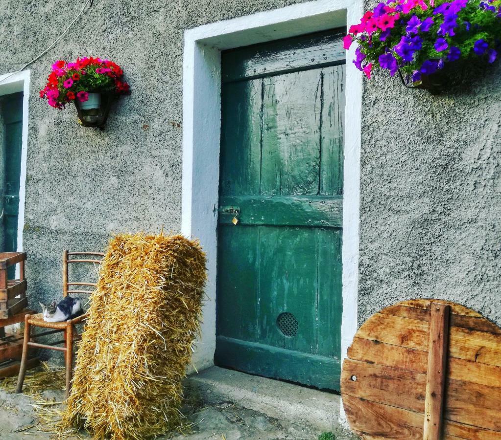 Berzuaia Bed & Breakfast Varazze Exterior foto